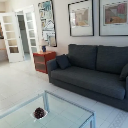 Apartment Atico Albatros Ii *